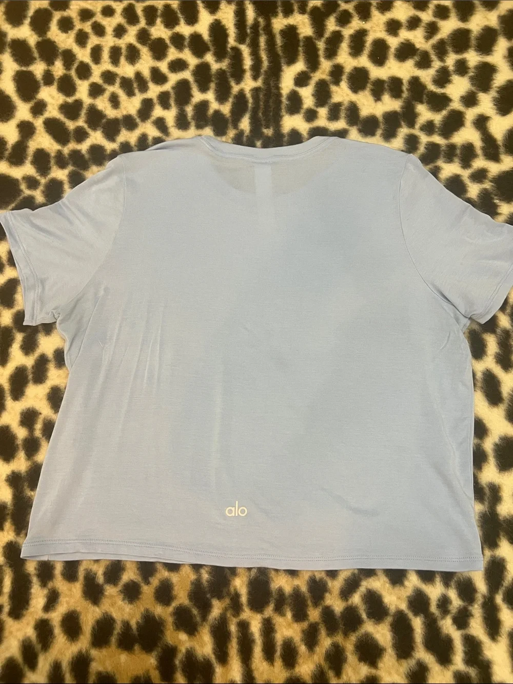 Alo Yoga Seashell Blue Cropped All Day Short Sleeve Small